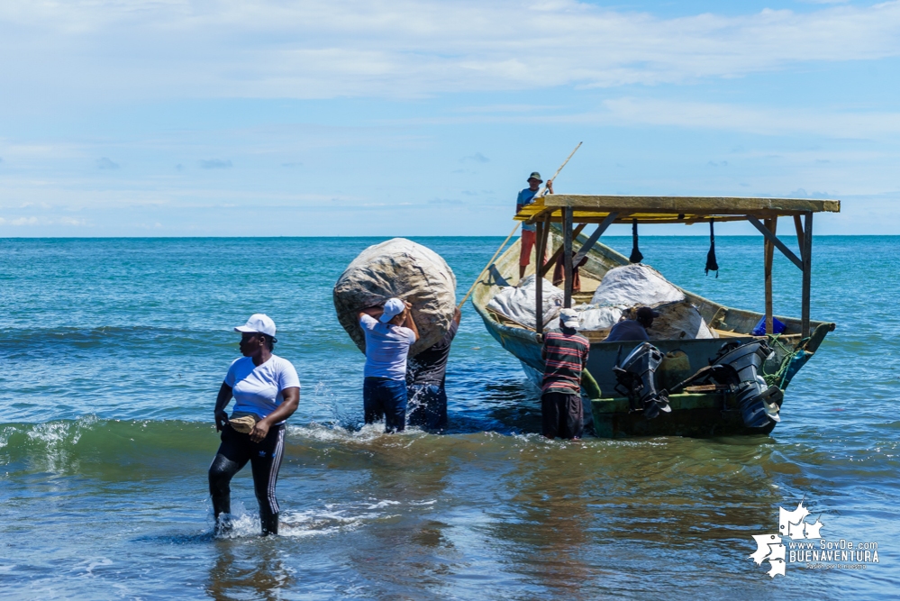 Se realizó con éxito una jornada de limpieza de la playa San Pedro con Asogesampa y Cempre