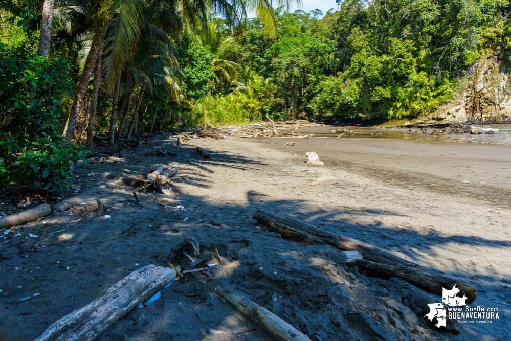 Se realizó con éxito una jornada de limpieza de la playa San Pedro con Asogesampa y Cempre