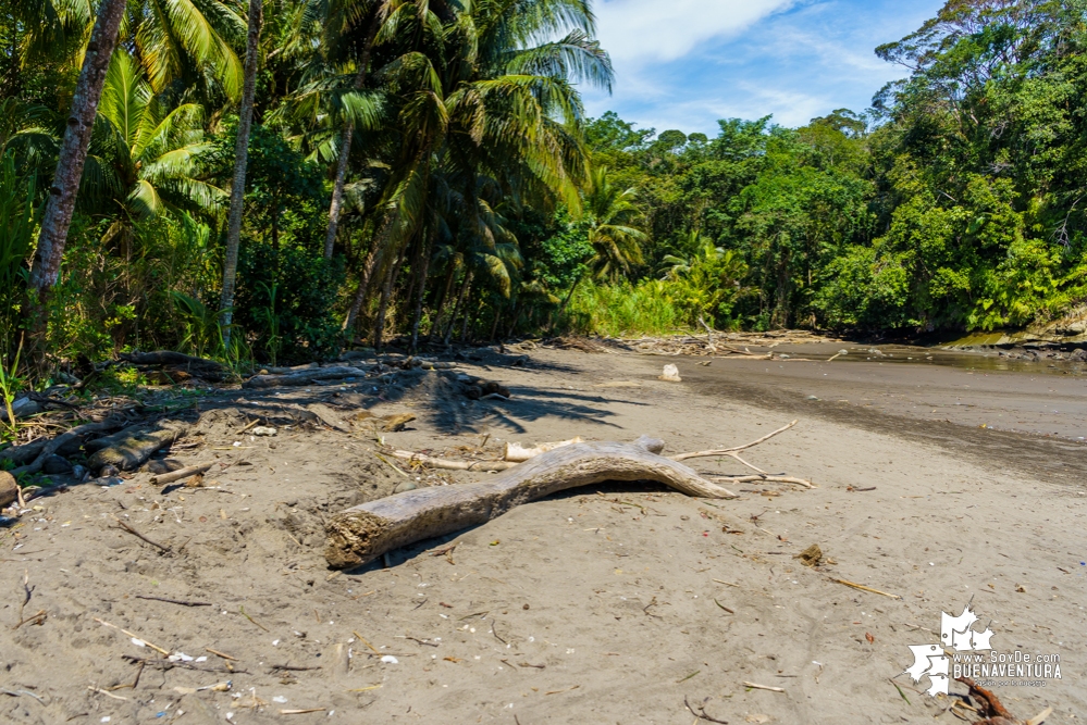 Se realizó con éxito una jornada de limpieza de la playa San Pedro con Asogesampa y Cempre