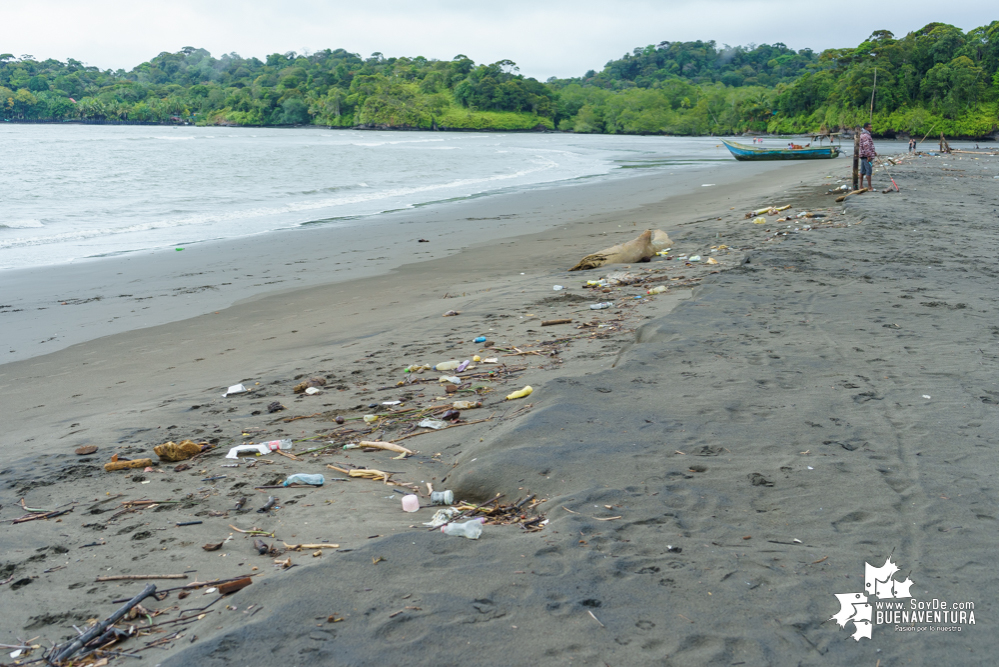 Con la participación de 9 organizaciones, Asogesampa y Cempre realizaron una nueva jornada de limpieza de playas 