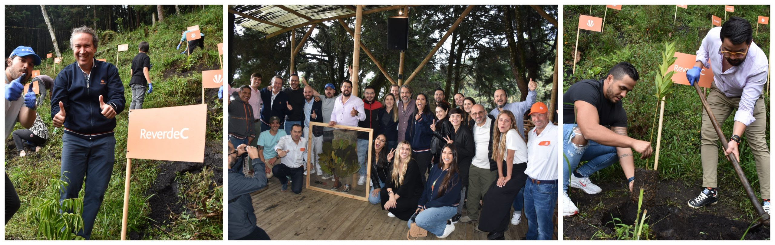 Influenciadores del gremio Laick y ReverdeC se unen para motivar la siembra masiva de árboles y compensar la huella de carbono