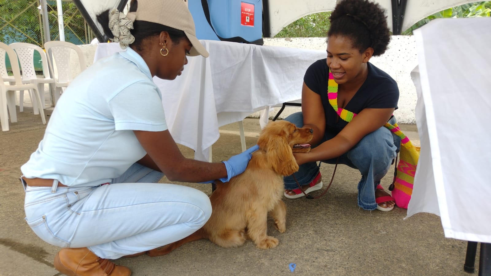 Bonaverenses llevaron a sus perros y gatos a vacunar en jornada adelantada por el área de Zoonosis de la Secretaría de Salud Distrital