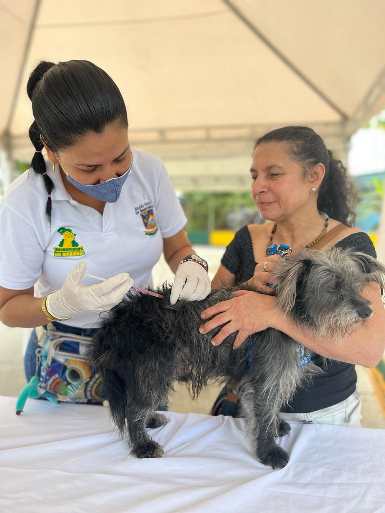 Bonaverenses llevaron a sus perros y gatos a vacunar en jornada adelantada por el área de Zoonosis de la Secretaría de Salud Distrital