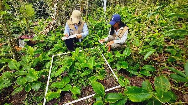 La CVC trabaja en la identificación de polinizadores en Cali, Yumbo, Jamundí y Buenaventura