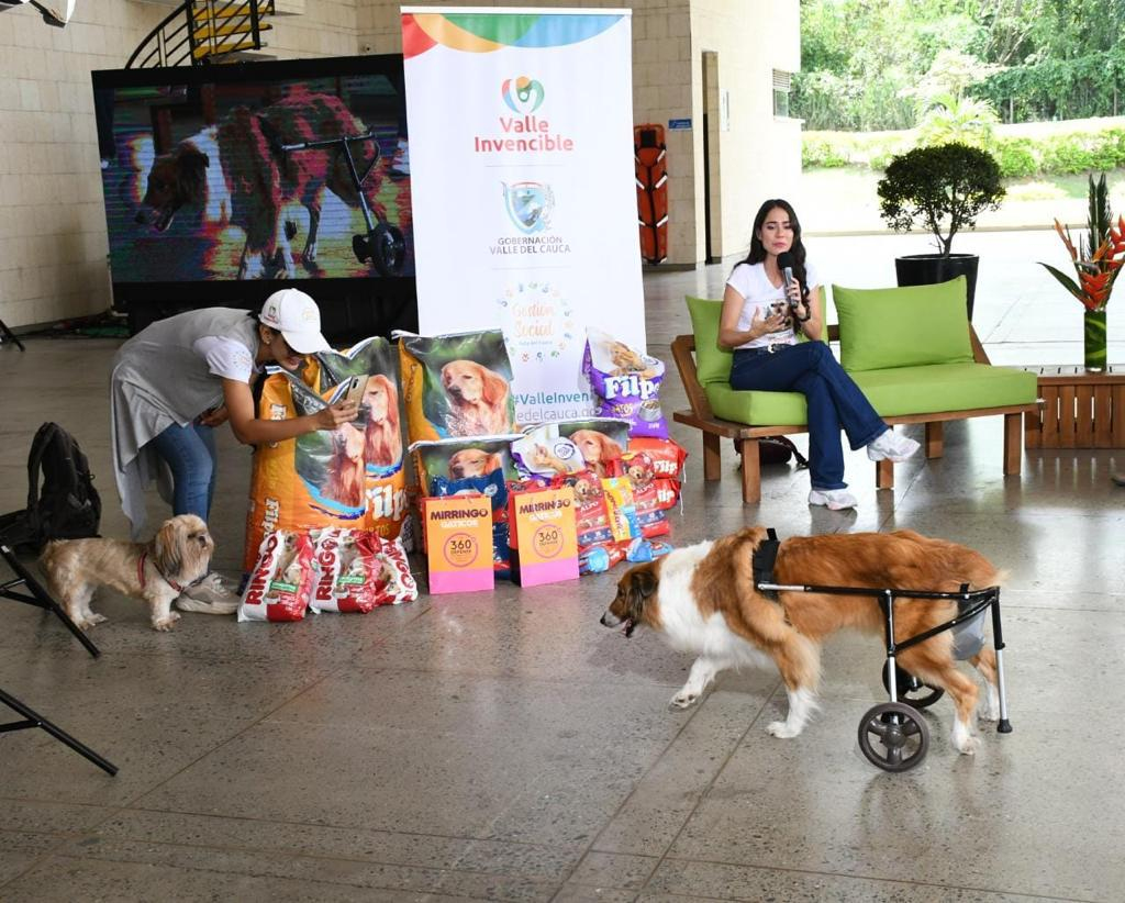 15 mil razones para agradecer a los vallecaucanos su solidaridad, la Donatón "Salvando Huellas" superó la meta