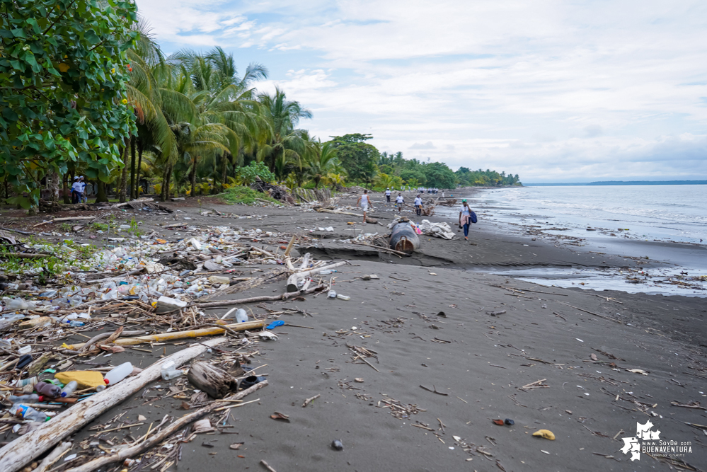 Con la participación de organizaciones de Cali y Buenaventura, Asogesampa y Cempre realizaron jornada de limpieza de playas en el sector de Vista Hermosa en La Bocana