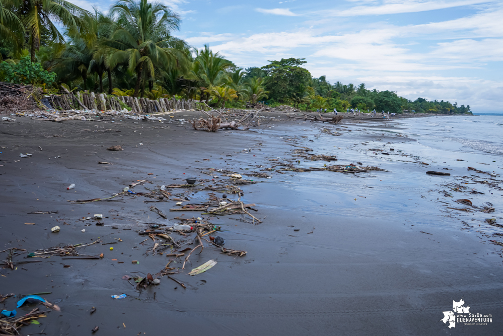 Con la participación de organizaciones de Cali y Buenaventura, Asogesampa y Cempre realizaron jornada de limpieza de playas en el sector de Vista Hermosa en La Bocana