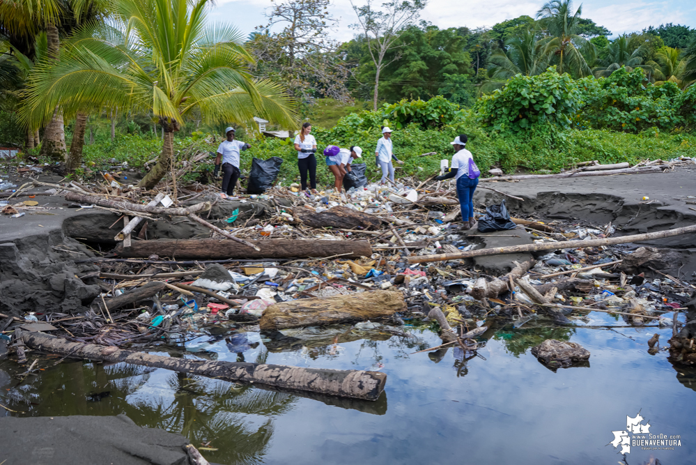 Con la participación de organizaciones de Cali y Buenaventura, Asogesampa y Cempre realizaron jornada de limpieza de playas en el sector de Vista Hermosa en La Bocana