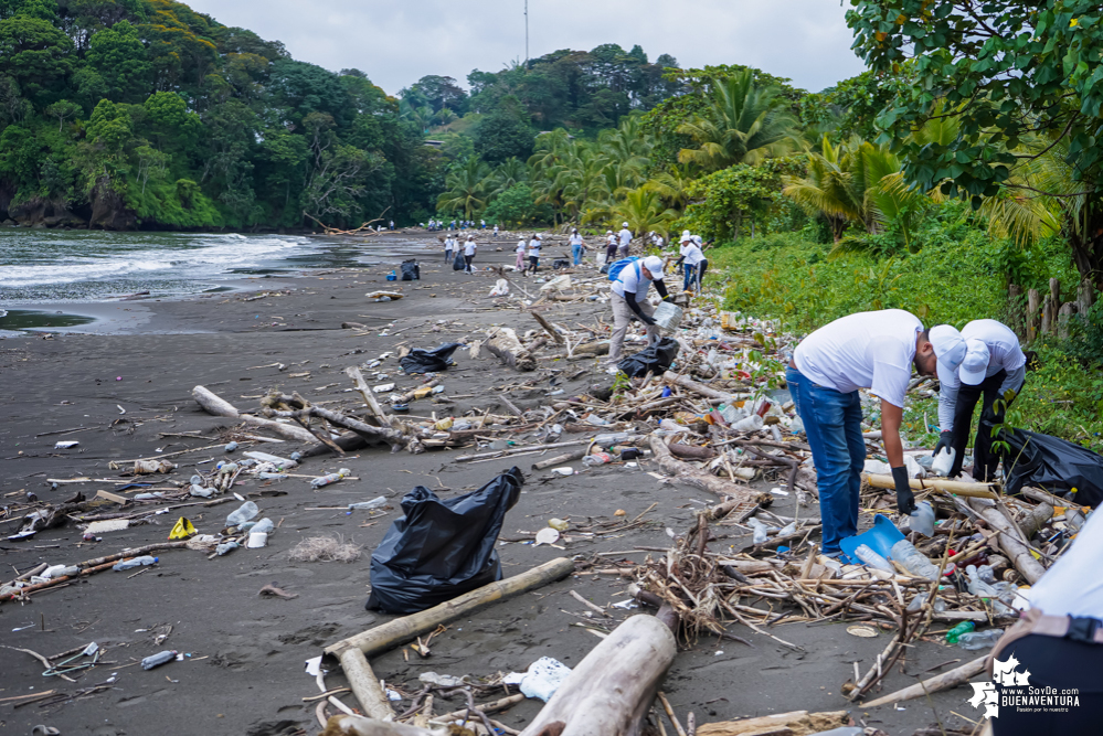 Con la participación de organizaciones de Cali y Buenaventura, Asogesampa y Cempre realizaron jornada de limpieza de playas en el sector de Vista Hermosa en La Bocana