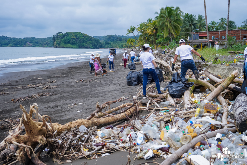 Con la participación de organizaciones de Cali y Buenaventura, Asogesampa y Cempre realizaron jornada de limpieza de playas en el sector de Vista Hermosa en La Bocana