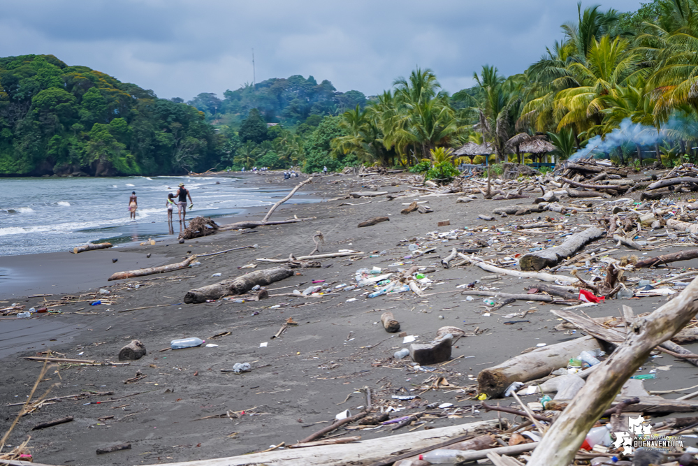 Con la participación de organizaciones de Cali y Buenaventura, Asogesampa y Cempre realizaron jornada de limpieza de playas en el sector de Vista Hermosa en La Bocana