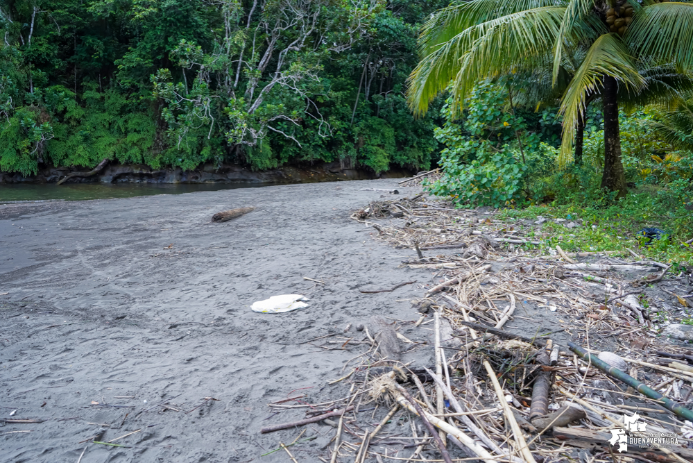 Con la participación de organizaciones de Cali y Buenaventura, Asogesampa y Cempre realizaron jornada de limpieza de playas en el sector de Vista Hermosa en La Bocana