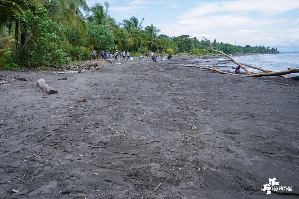 Con la participación de organizaciones de Cali y Buenaventura, Asogesampa y Cempre realizaron jornada de limpieza de playas en el sector de Vista Hermosa en La Bocana