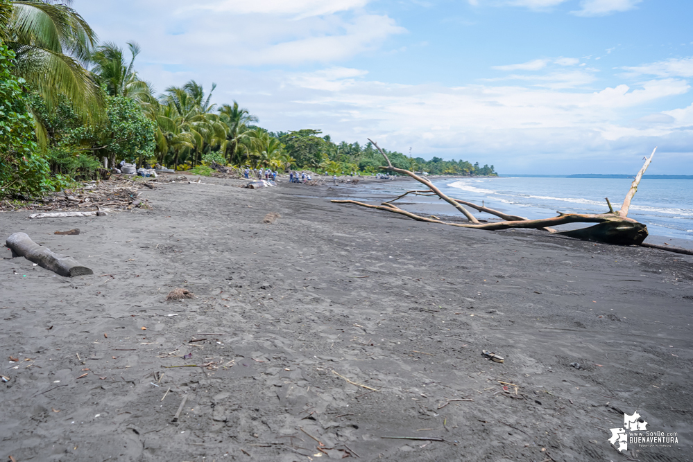 Con la participación de organizaciones de Cali y Buenaventura, Asogesampa y Cempre realizaron jornada de limpieza de playas en el sector de Vista Hermosa en La Bocana