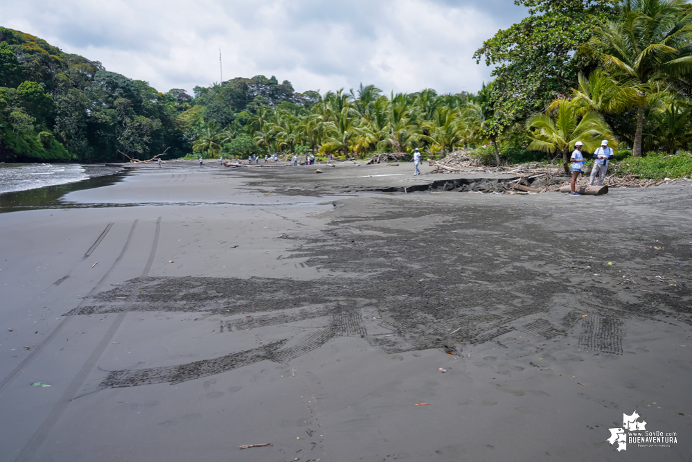 Con la participación de organizaciones de Cali y Buenaventura, Asogesampa y Cempre realizaron jornada de limpieza de playas en el sector de Vista Hermosa en La Bocana