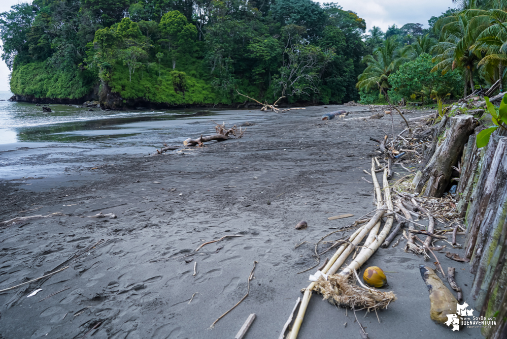 Con la participación de organizaciones de Cali y Buenaventura, Asogesampa y Cempre realizaron jornada de limpieza de playas en el sector de Vista Hermosa en La Bocana