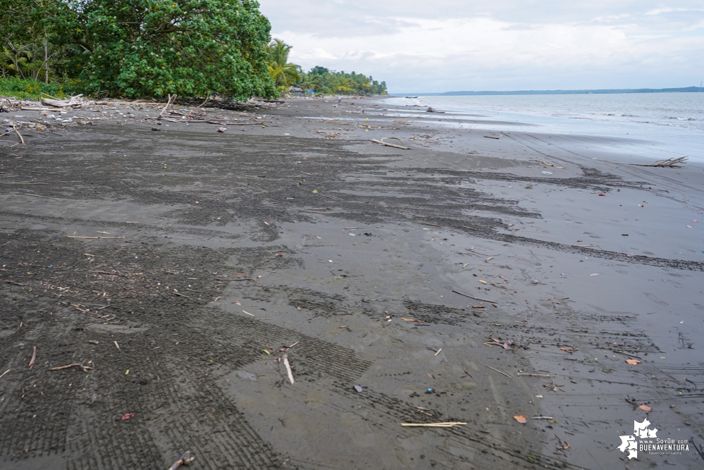 Con la participación de organizaciones de Cali y Buenaventura, Asogesampa y Cempre realizaron jornada de limpieza de playas en el sector de Vista Hermosa en La Bocana