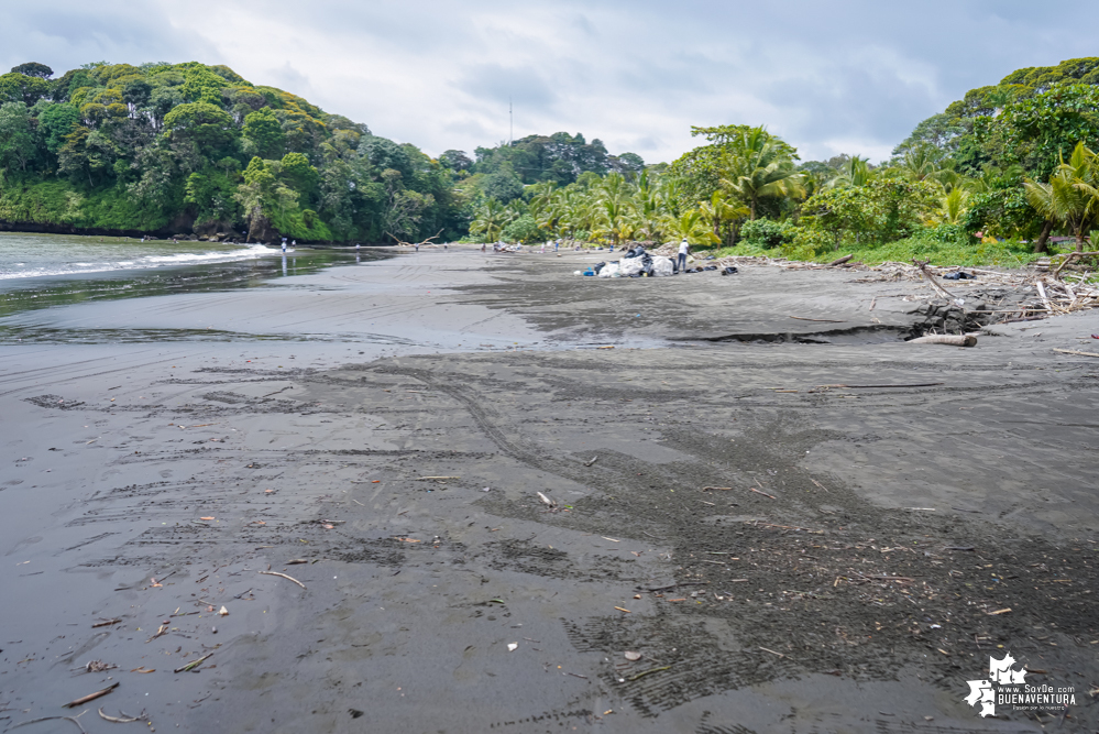 Con la participación de organizaciones de Cali y Buenaventura, Asogesampa y Cempre realizaron jornada de limpieza de playas en el sector de Vista Hermosa en La Bocana