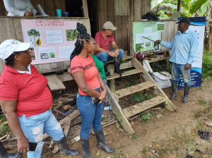 Se reactiva el mercado campesino de la comunidad negra La Victoria en Zacarías, río Dagua en Buenaventura 