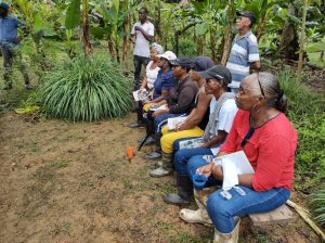 Se reactiva el mercado campesino de la comunidad negra La Victoria en Zacarías, río Dagua en Buenaventura 