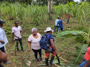 Se reactiva el mercado campesino de la comunidad negra La Victoria en Zacarías, río Dagua en Buenaventura 