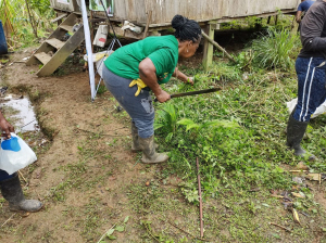 Se reactiva el mercado campesino de la comunidad negra La Victoria en Zacarías, río Dagua en Buenaventura 