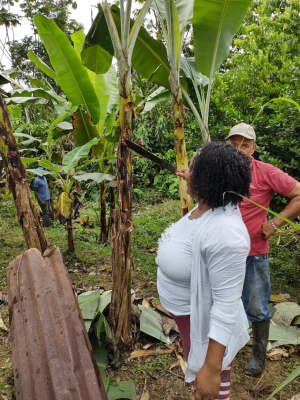 Se reactiva el mercado campesino de la comunidad negra La Victoria en Zacarías, río Dagua en Buenaventura 