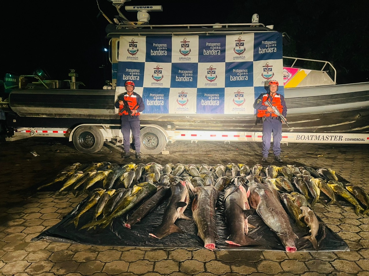 Fueron incautados de 594 kilogramos de pesca ilegal en el área general de Isla Gorgona