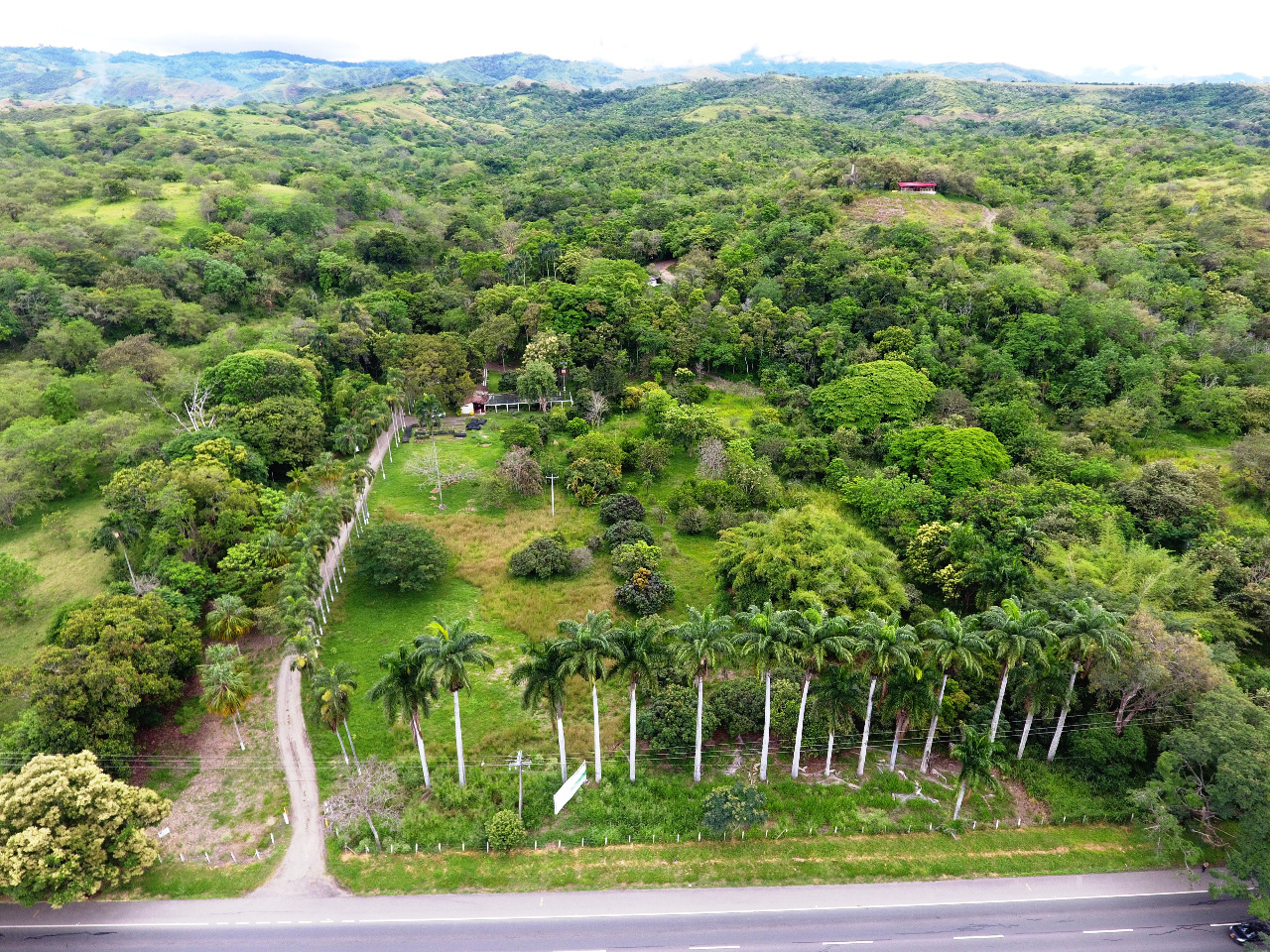 Guacharaca, coclí y mono nocturno, especies representativas del Bosque Seco Tropical en el Valle revela plan de manejo ambiental