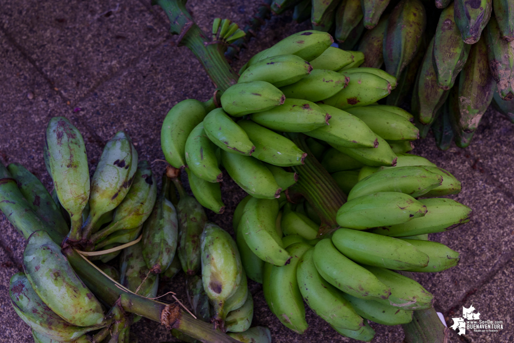 Se realizó la muestra comercial de Negocios Verdes del EPA Buenaventura