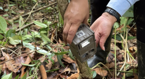 La comunidad de Buenaventura quiere saber más sobre su fauna silvestre, usando la tecnología