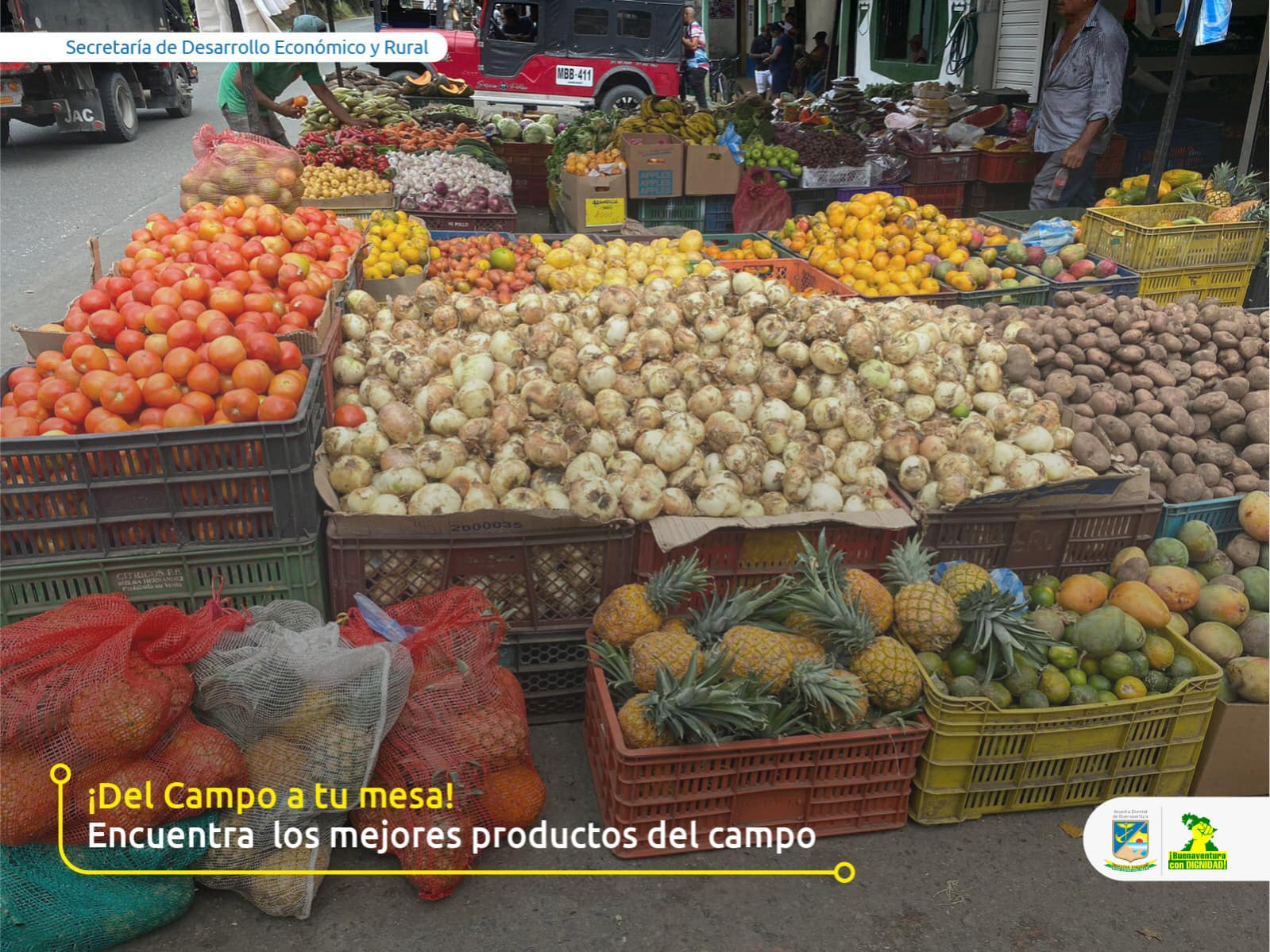 Durante el mes de junio de 2023 se resaltará la labor de la gente del campo en Buenaventura 