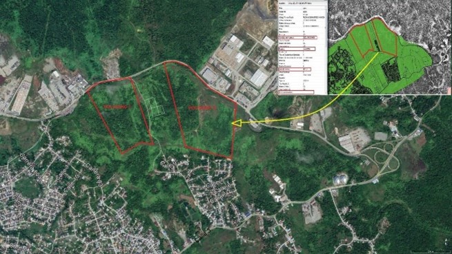 La Alcaldía Distrital de Buenaventura recuperó 18.5 hectáreas de terrenos para la ciudad