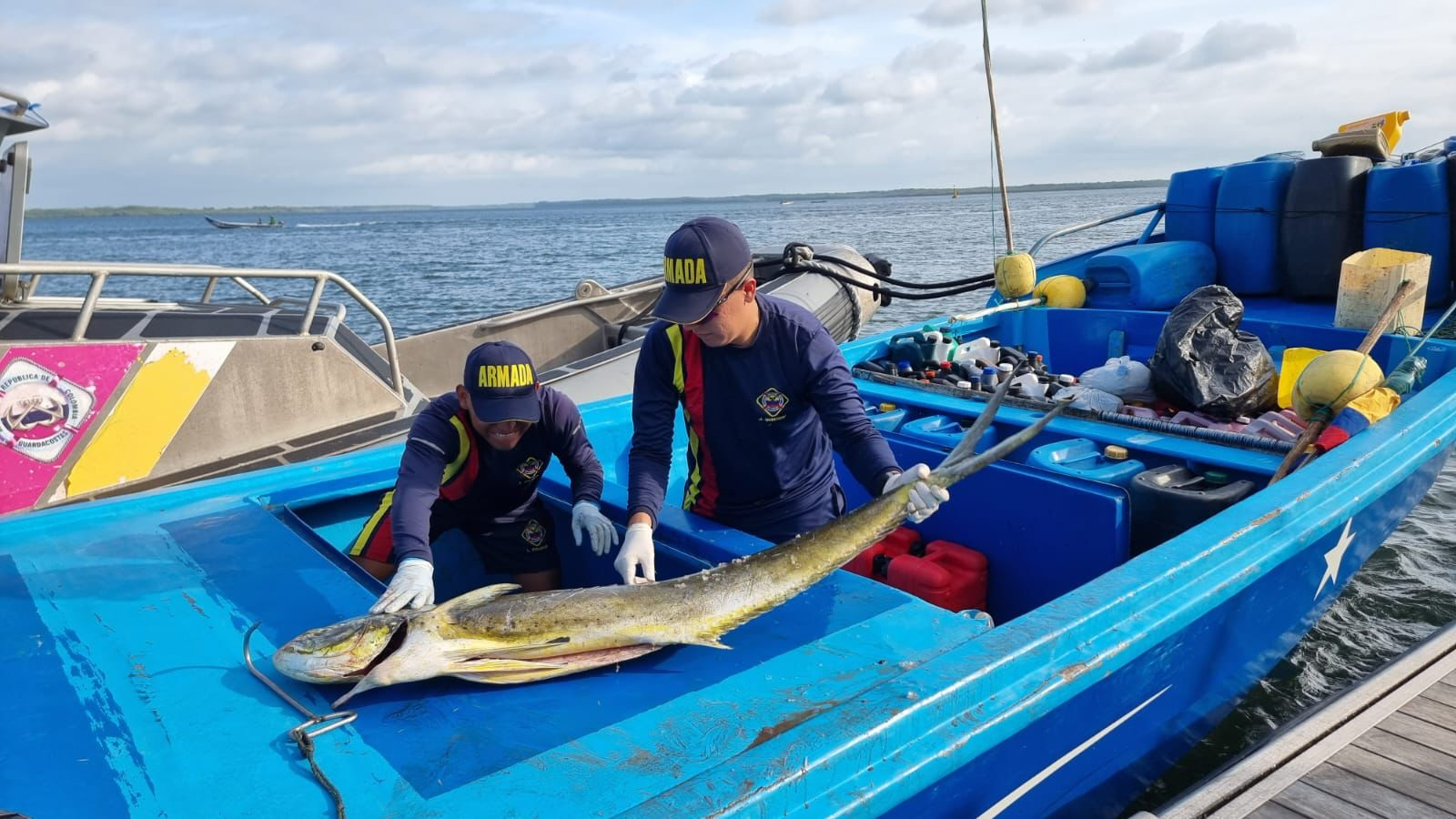 Fue incautada más de media tonelada de pesca ilegal en cercanías a Malpelo