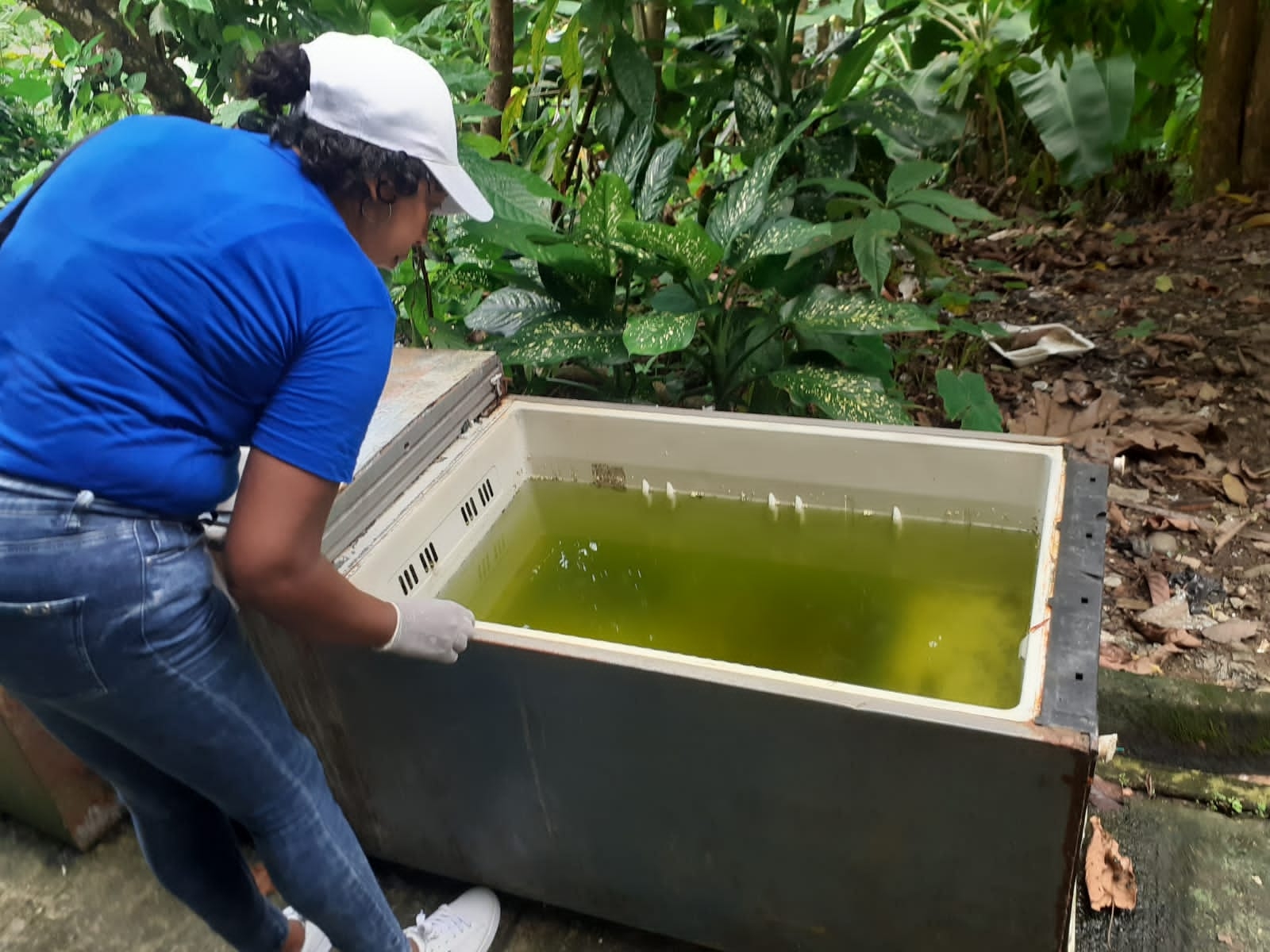 Adelantan acciones de control del Dengue y Malaria en Ciudadela San Antonio