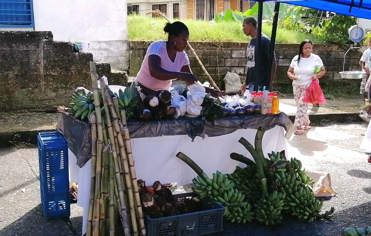 La Secretaría de Desarrollo Económico realizó Mercado Campesino