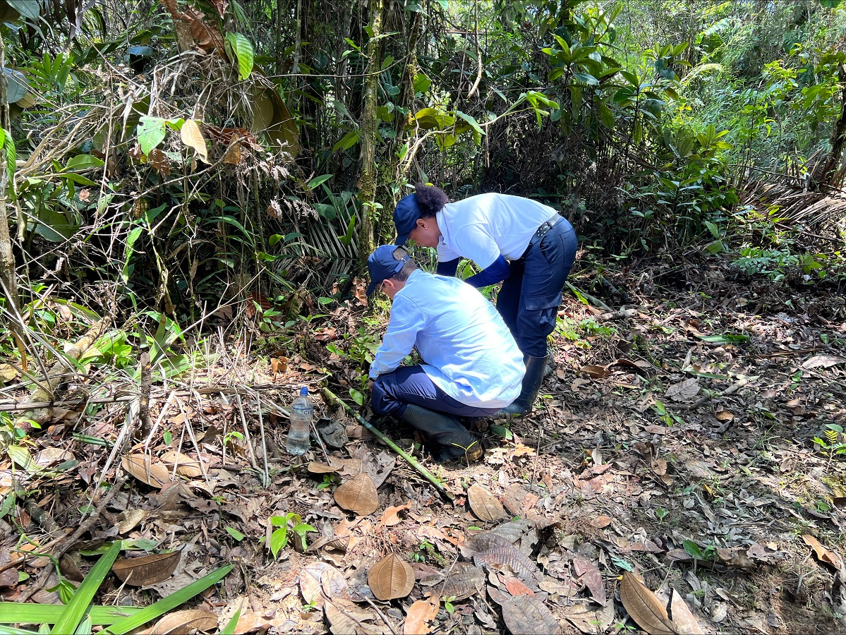 400 árboles fueron sembrados en la vereda La Esperanza en Buenaventura