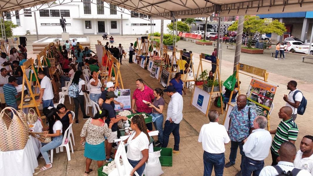 Éxito total en la Vitrina Verde de Buenaventura que organizó la CVC