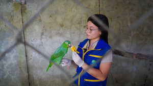 Bonaverenses contribuyen a la conservación ambiental entregando fauna silvestre al EPA