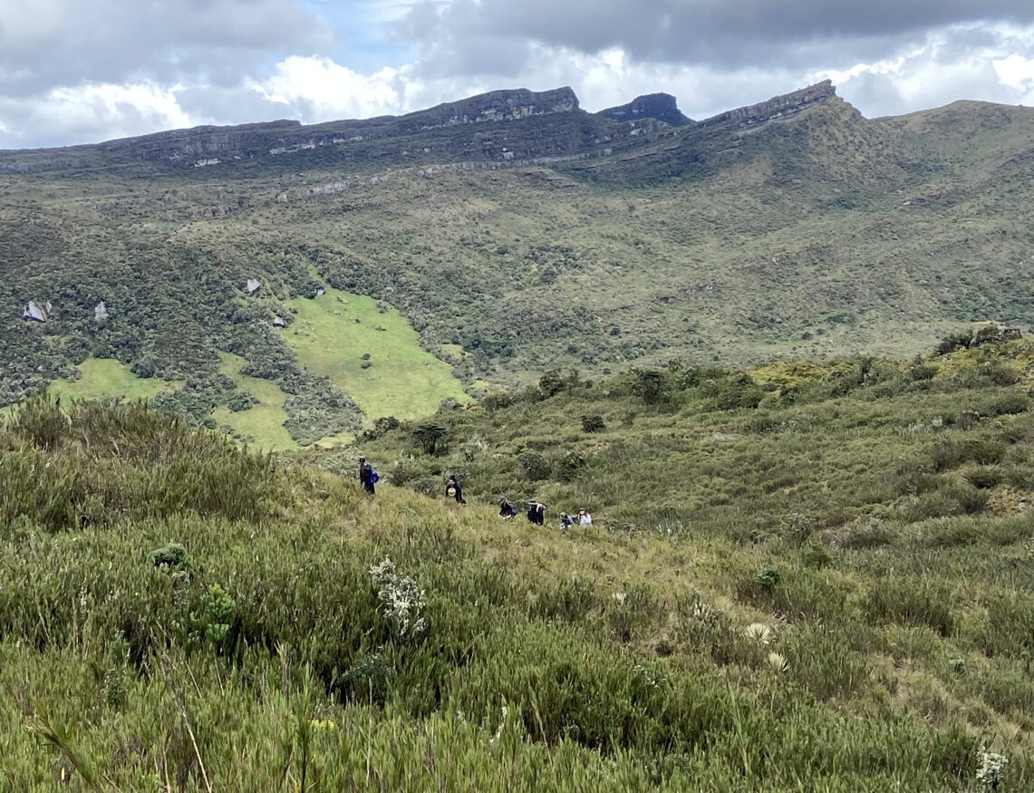 Constituyen siete resguardos indígenas, cinco consejos comunitarios de comunidades negras y aprueban ocupación campesina en Zonas de Reserva Forestal