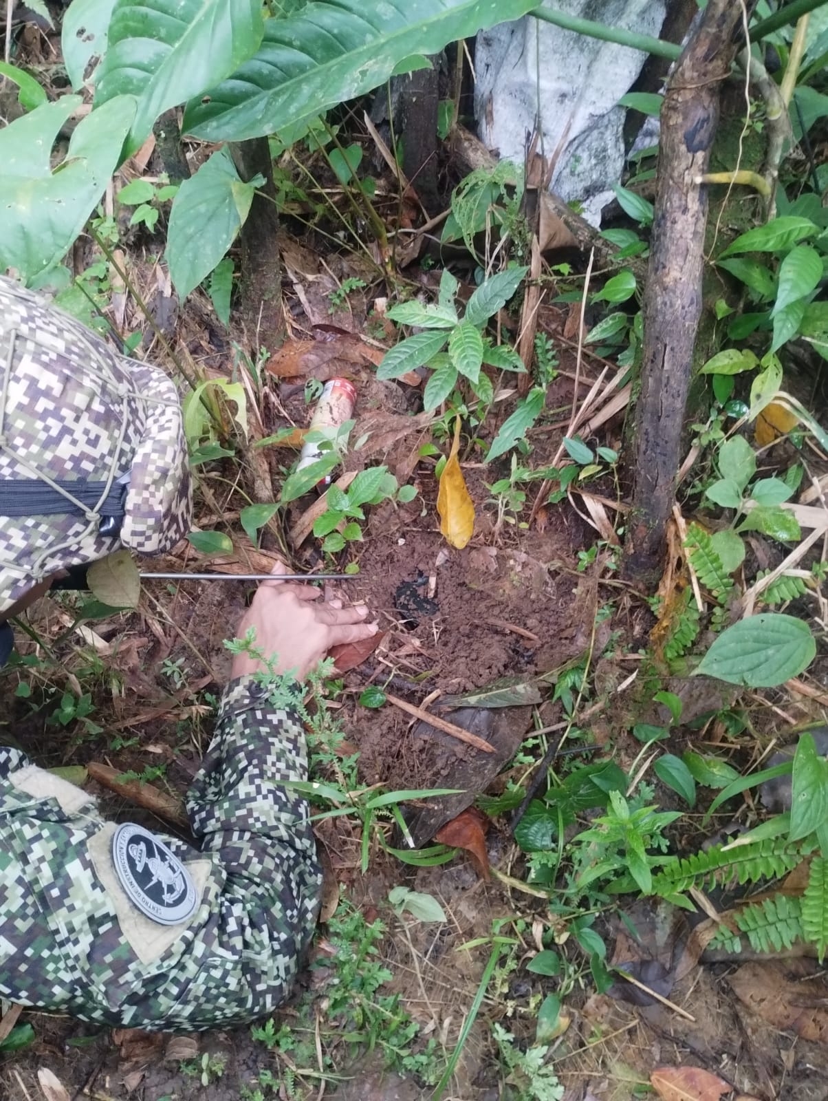 Autoridades destruyen 4 artefactos explosivos improvisados en el Bajo Calima, Buenaventura