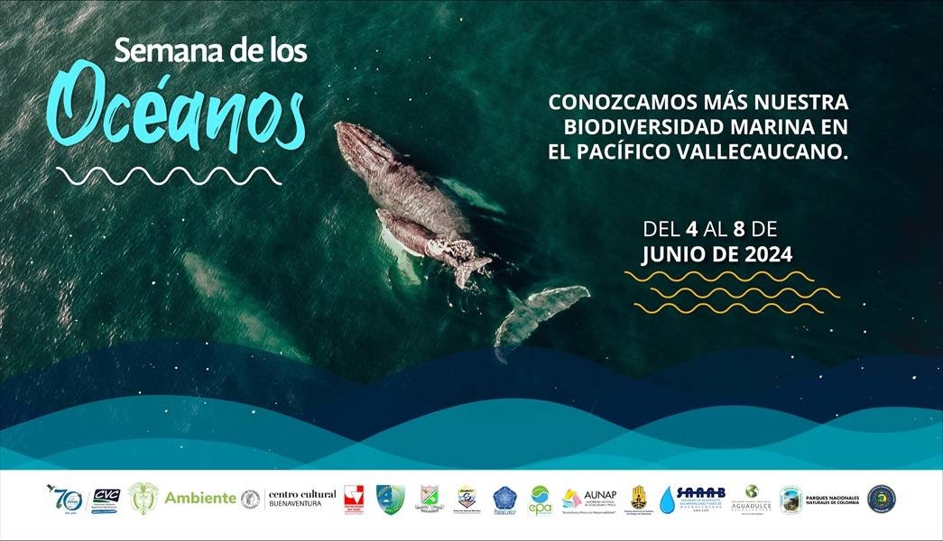 Se realizará la Semana de Los Océanos en Buenaventura