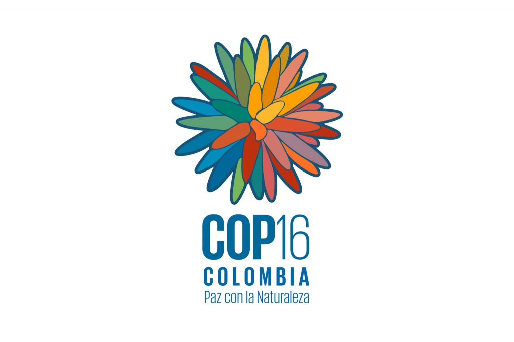 ¡Colombia avanza en la preparación de la COP16: ¡La COP de la gente!