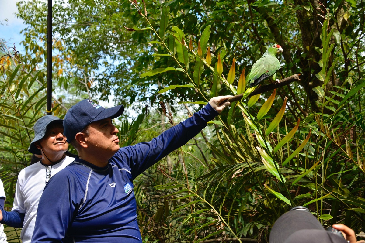 Se realizó la liberación de 74 animales de la fauna silvestre en La Bocana 