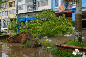 Gestión del Riesgo del Valle y Buenaventura hacen seguimiento a impacto de fuertes lluvias 