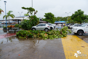 Gestión del Riesgo del Valle y Buenaventura hacen seguimiento a impacto de fuertes lluvias 