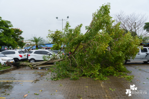 Gestión del Riesgo del Valle y Buenaventura hacen seguimiento a impacto de fuertes lluvias 