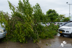 Gestión del Riesgo del Valle y Buenaventura hacen seguimiento a impacto de fuertes lluvias 