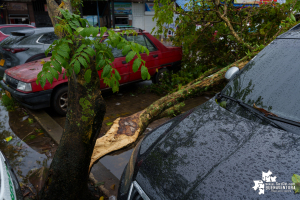 Gestión del Riesgo del Valle y Buenaventura hacen seguimiento a impacto de fuertes lluvias 