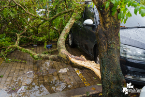 Gestión del Riesgo del Valle y Buenaventura hacen seguimiento a impacto de fuertes lluvias 